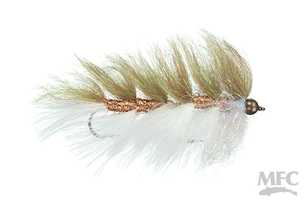 Galloup's Laser Legal