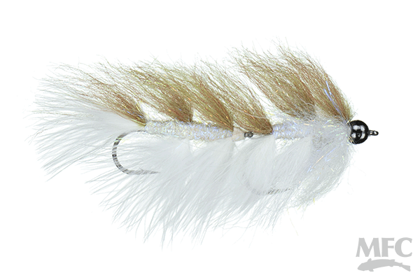 Galloup's Laser Legal