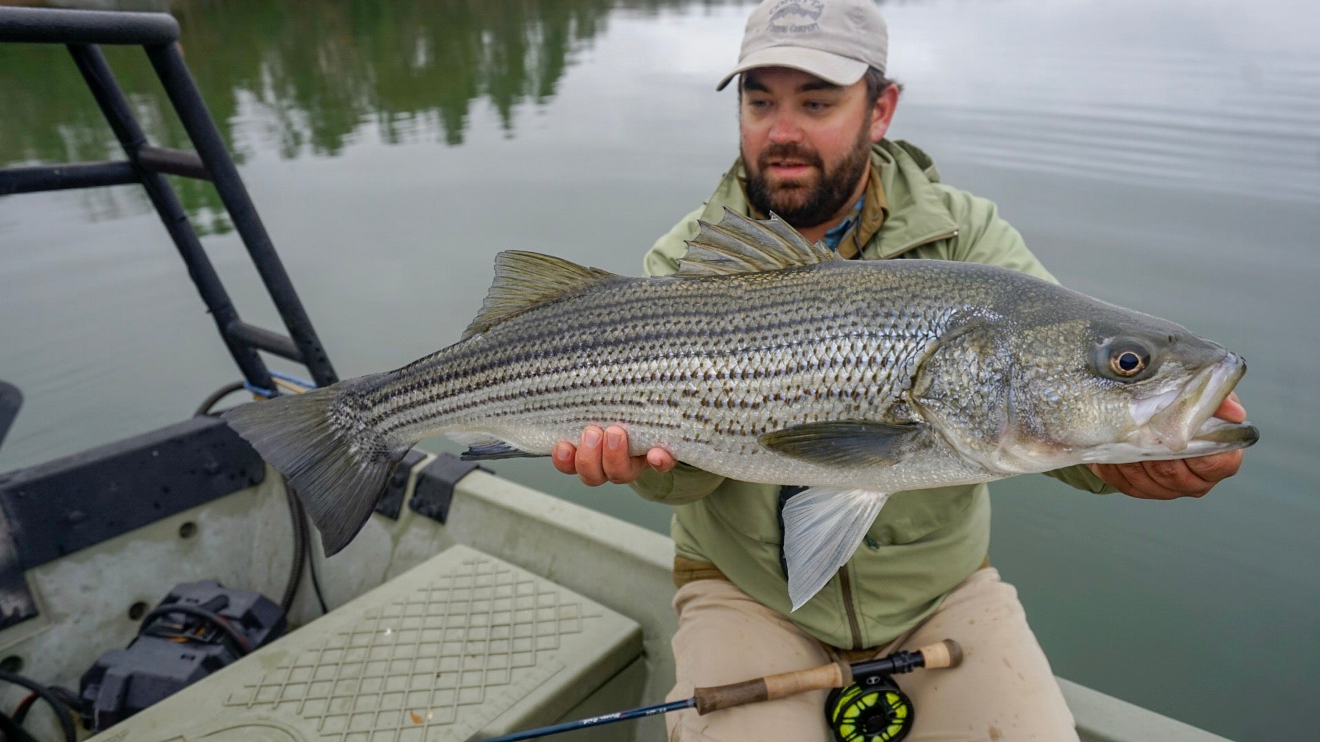 Thomas & Thomas Exocett SS